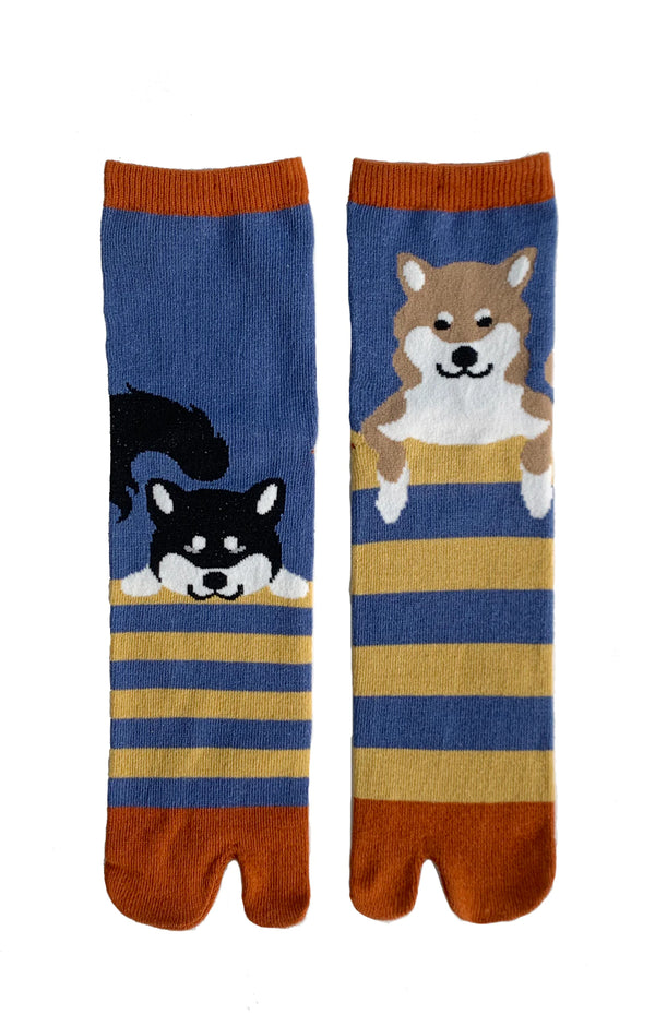 Blue color of NINJA SOCKS' Shiba Inu Tabi Socks product, with the pattern of Black Shiba and Red Shiba on the right and left