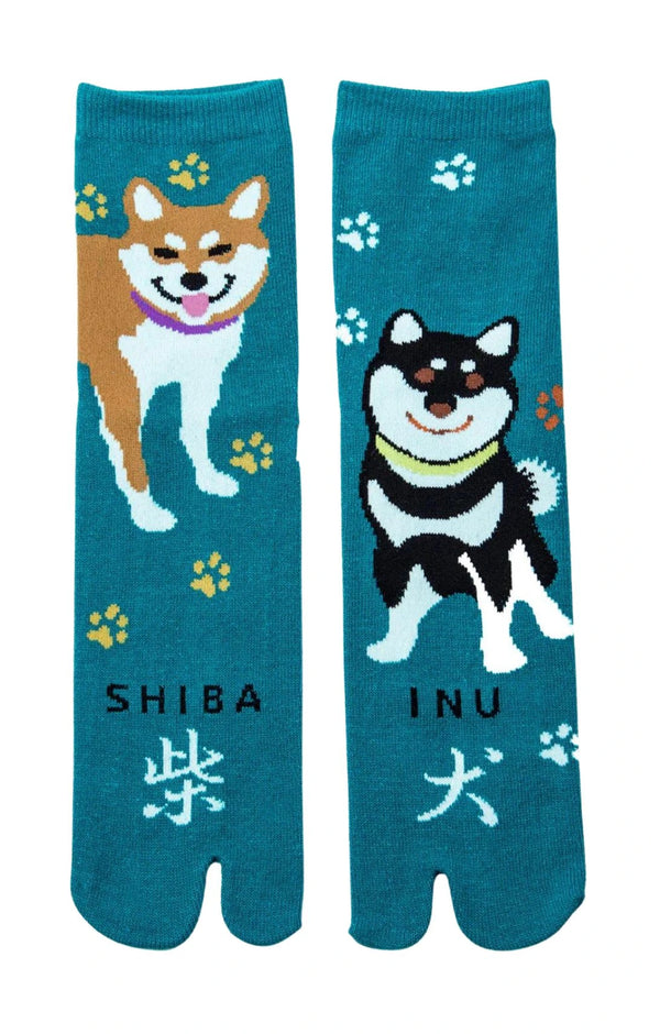 NINJA SOCKS Shiba Inu Tabi Socks Teal color, front