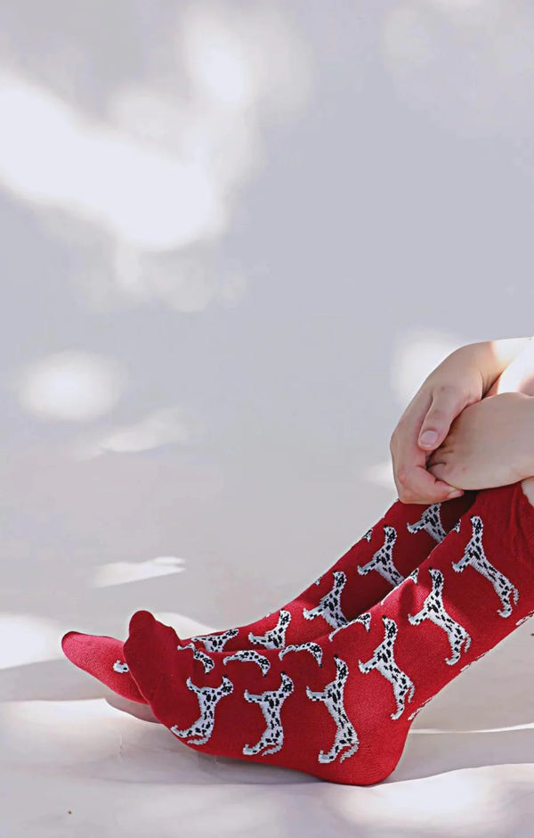 Tabbisocks brand Animal Rescue Pairs DALMATIAN Socks with red fabric and Dalmatian illustrations scattered throughout the socks