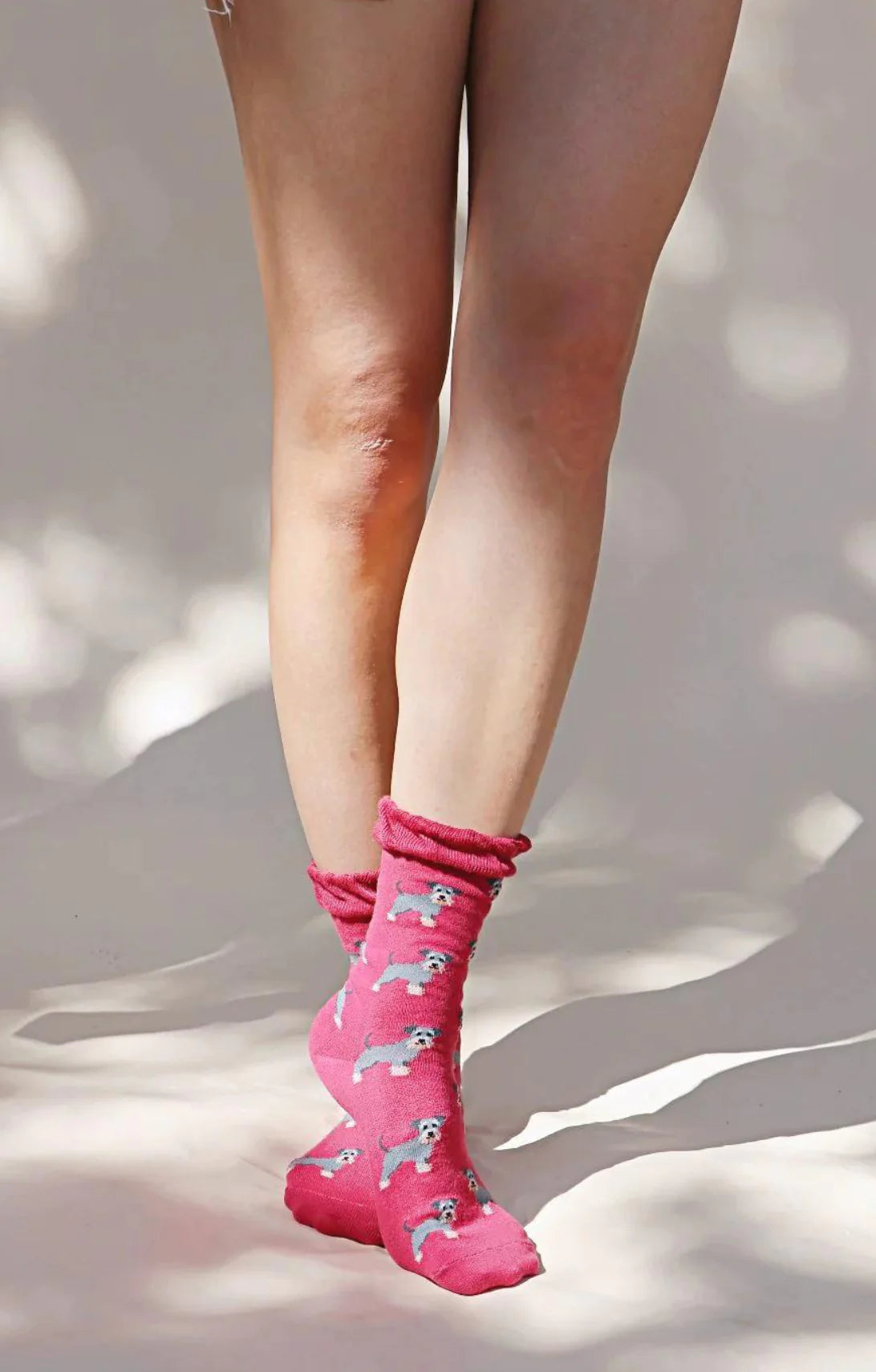 Front view of a woman's leg wearing socks with a pinkish fabric of a product called Animal Rescue Pairs SCHNAUZER Dog Socks of the Tabbisocks brand with an illustration of a miniature schnauzer throughout