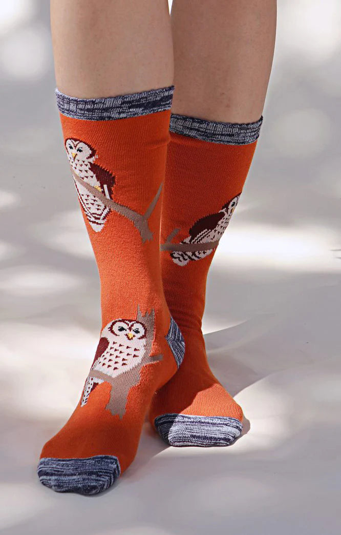 Lower half of a man wearing Grey half pants wearing a Tabbisocks product called Replant Pairs Owl California Oregon Washington Organic Cotton Crew Socks, color Orange, with a design of three tree perched owls