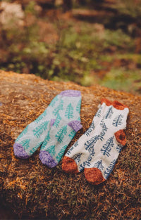Tabbisocks' Replant Pairs Tree California Oregon Washington Organic Cotton Crew Socks in Grey and Beige colors on display on a tree in the forest